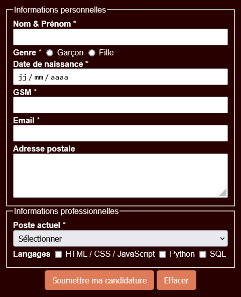 Formulaire de contacts développeur